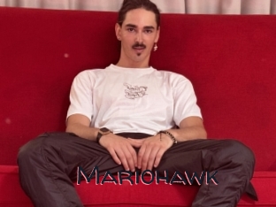 Mariohawk