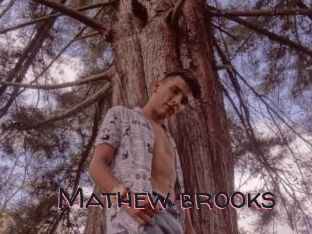 Mathew_brooks