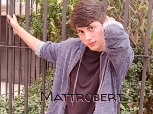 Mattrobert