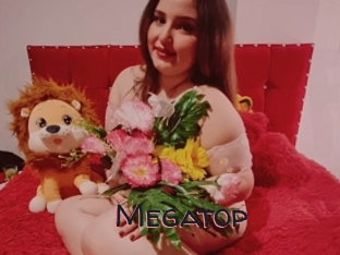 Megatop