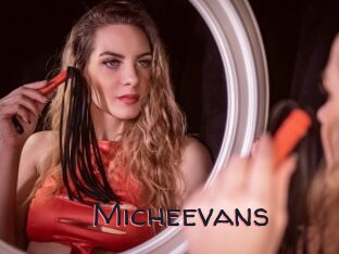 Micheevans