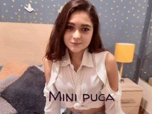 Mini_puca