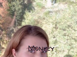 Monkey
