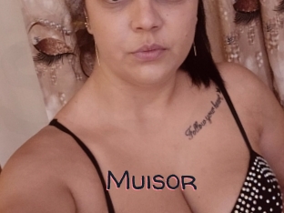 Muisor