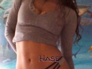 Hase