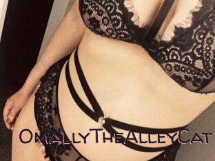 OmallyTheAlleyCat