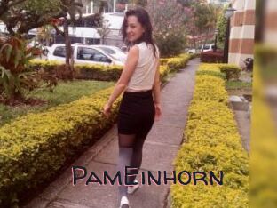PamEinhorn