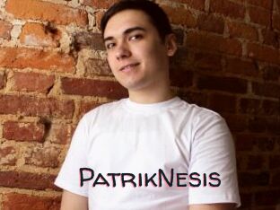 PatrikNesis