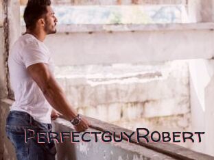 PerfectguyRobert
