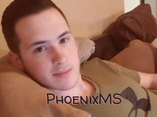 PhoenixMS