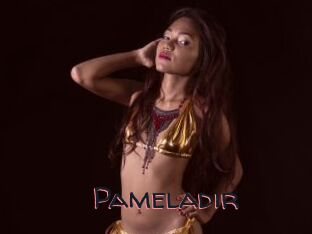 Pameladir