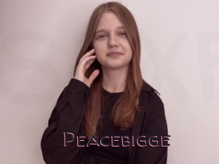 Peacebigge