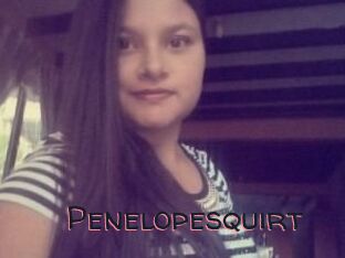 Penelopesquirt