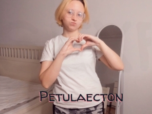 Petulaecton