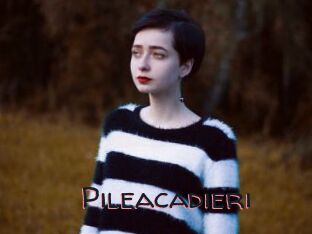 Pileacadieri