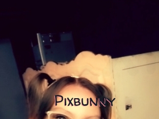 Pixbunny