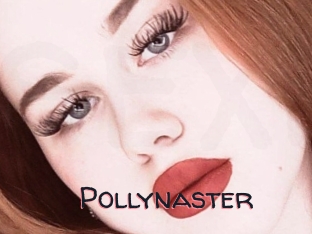 Pollynaster