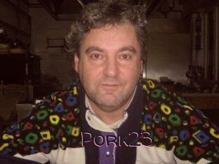 Pork23