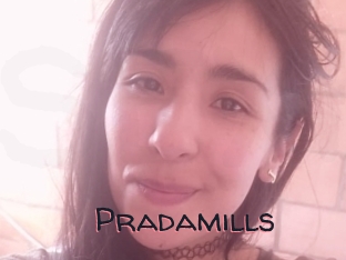 Pradamills