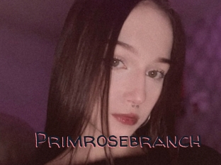 Primrosebranch