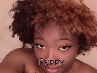Puppy