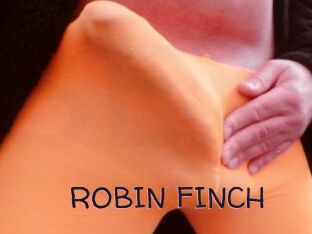 ROBIN_FINCH