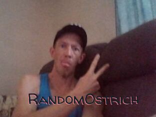 RandomOstrich