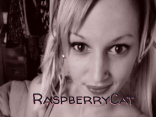 RaspberryCat