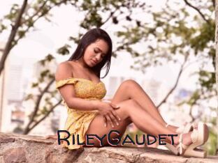 RileyGaudet