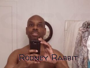 Rodney_Rabbit