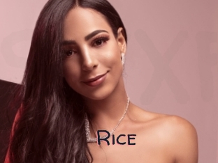 Rice