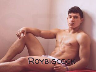 Roybigcock