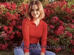 Sakura_Harumi