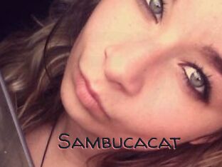 Sambucacat