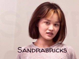 Sandrabricks