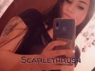 Scarlethrush
