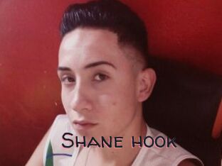 Shane_hook