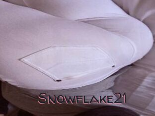 Snowflake21