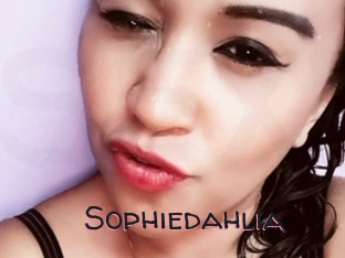 Sophiedahlia