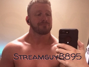 Streamguy8895