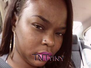 T_N_Ttiny
