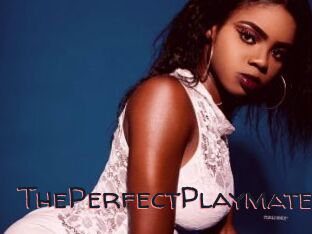 ThePerfectPlaymate
