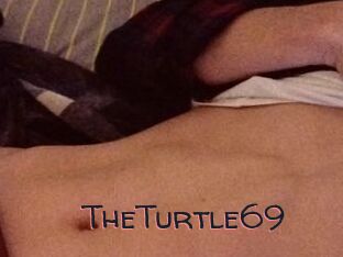 TheTurtle69