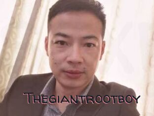 Thegiantrootboy