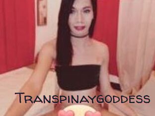 Transpinaygoddess