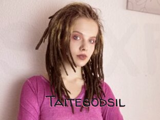 Taitegodsil