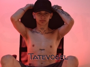 Tatevogel