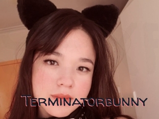 Terminatorbunny