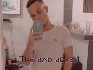 The_bad_boys_1