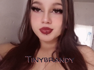 Tinybrandy